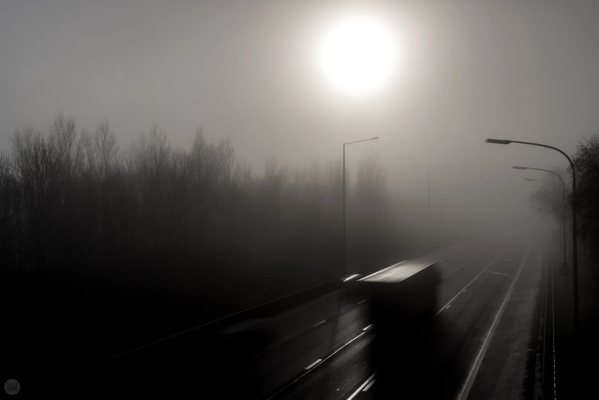 Misty-0553.jpg