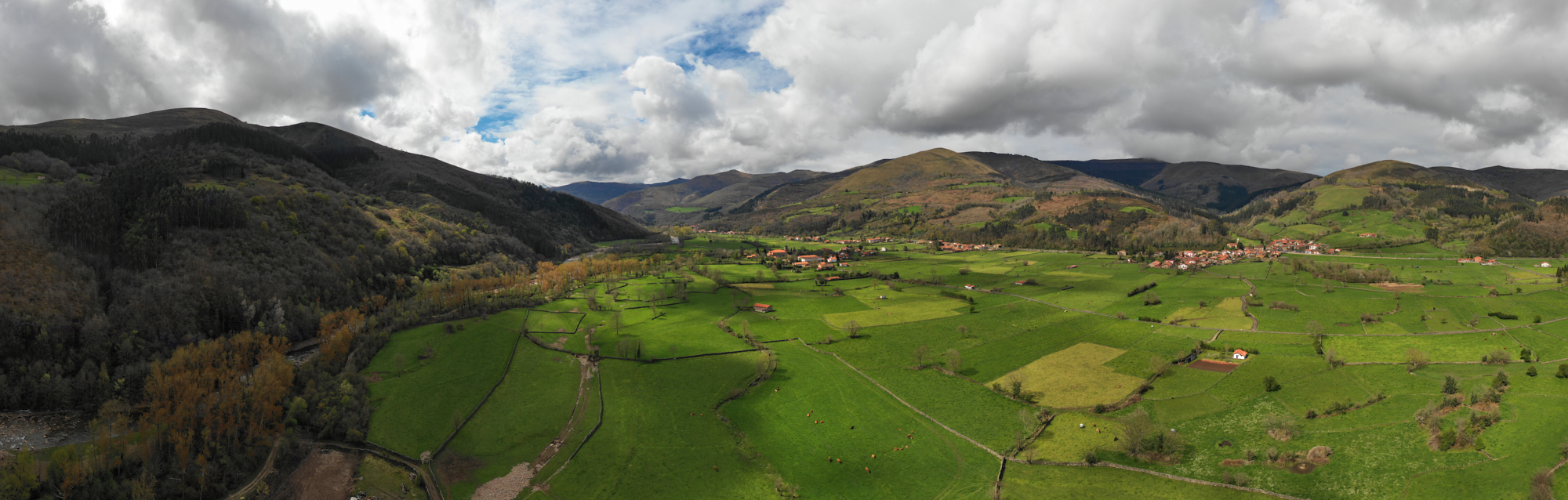 SP19-DJI_0366.jpg