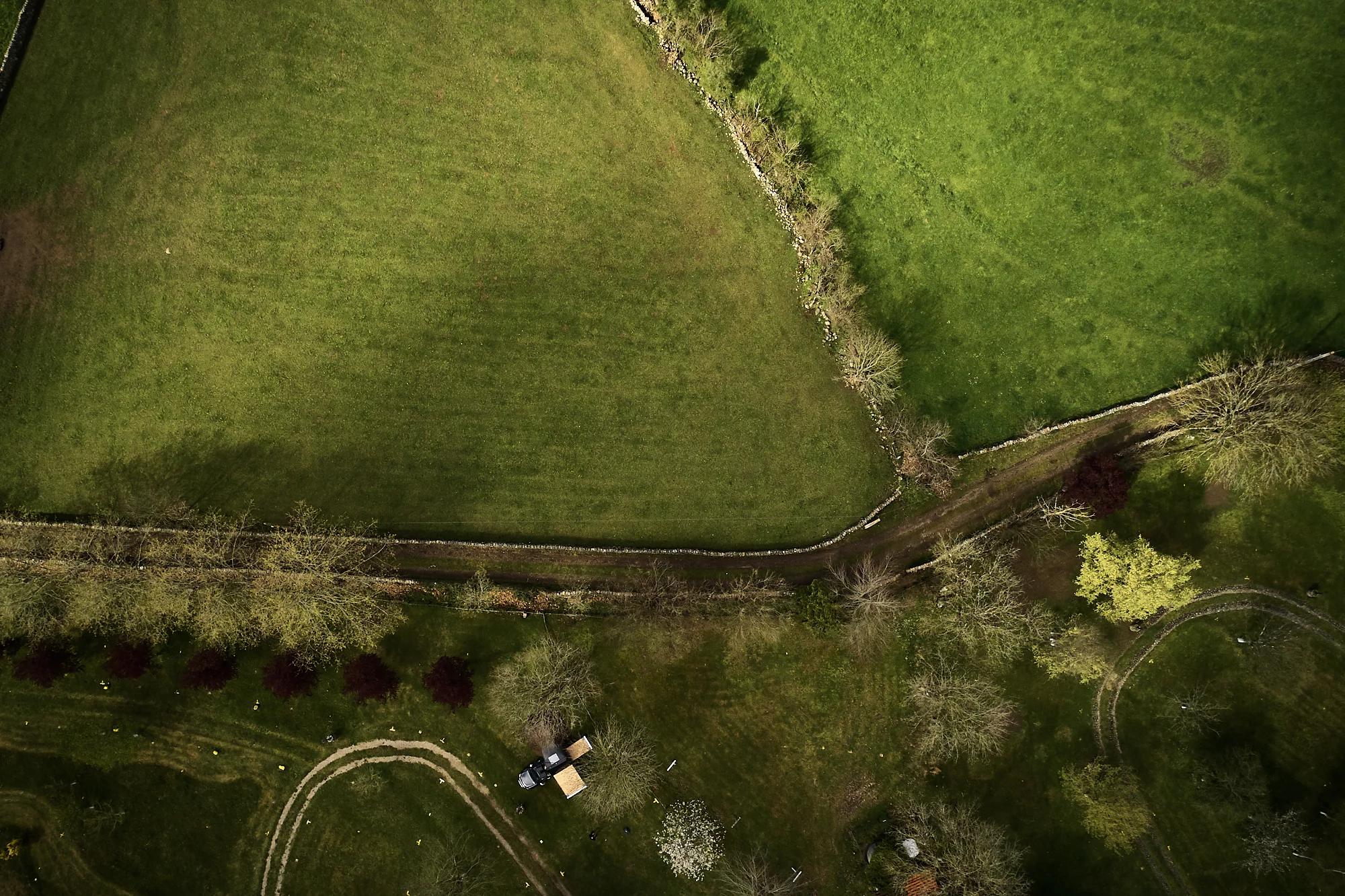 SP19-DJI_0363.jpg