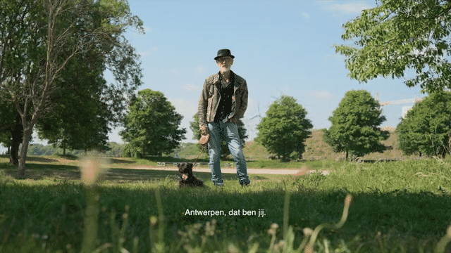 Stad Antwerpen - LDV / Manifesto