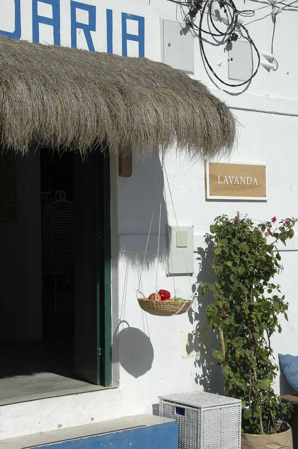 Lavanda1.jpg