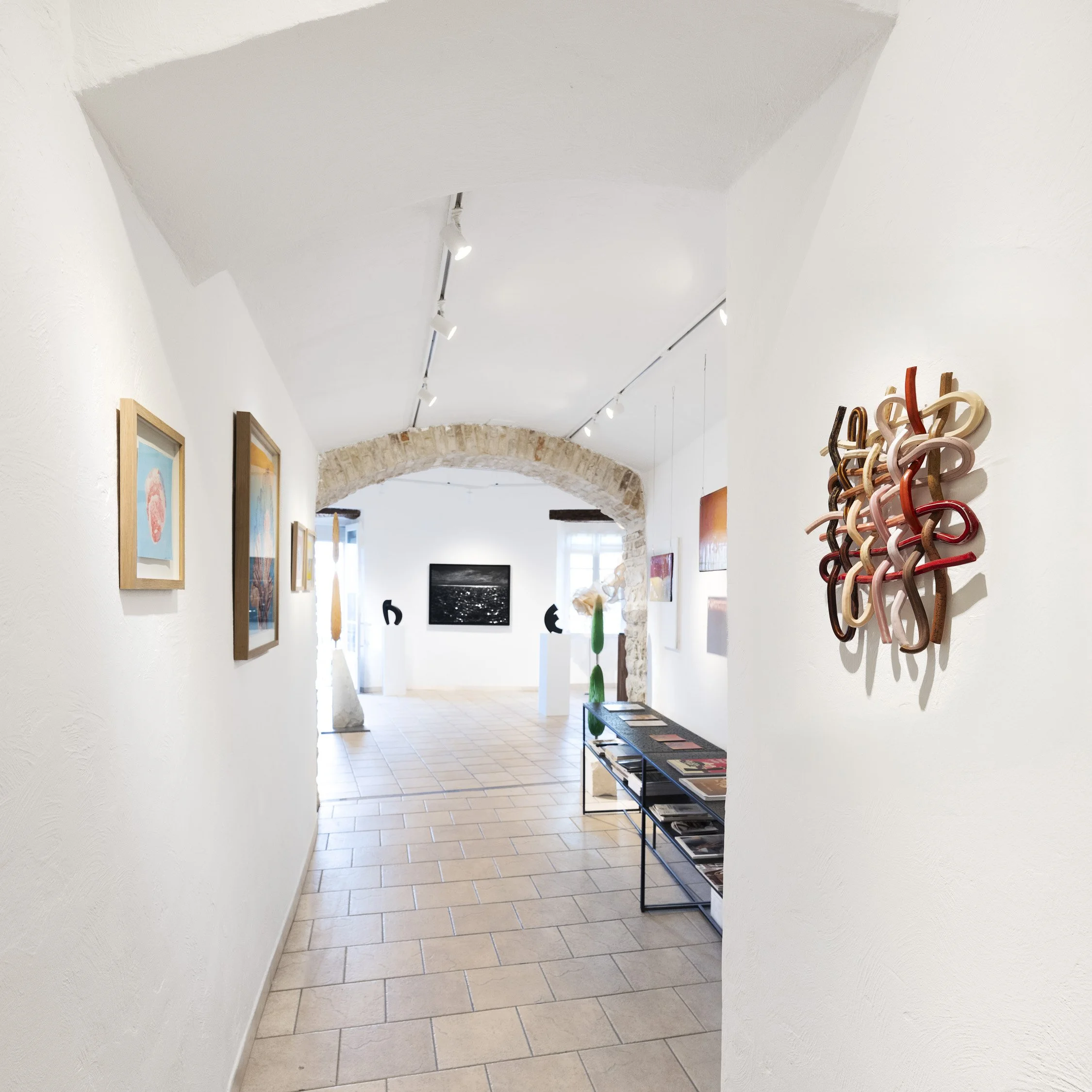 Intrinsic Perspectives @ 46 St Paul Gallery