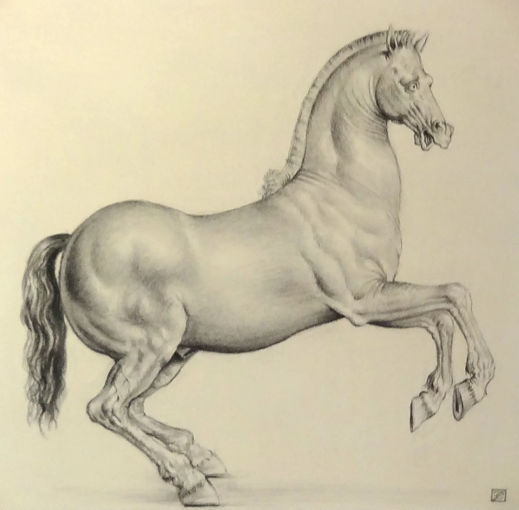 Federico Castelluccio