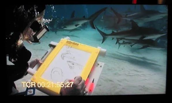 Does the wolrd really need sketches of live sharks? Maybe there is a reason no one else is doing this