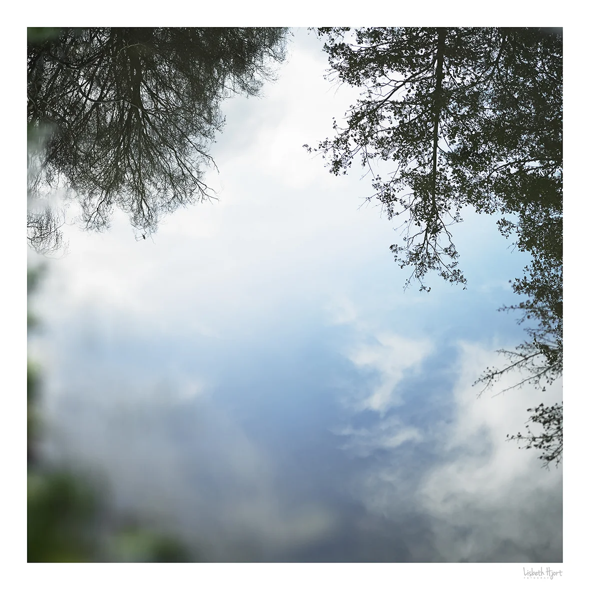Reflection_01.jpg