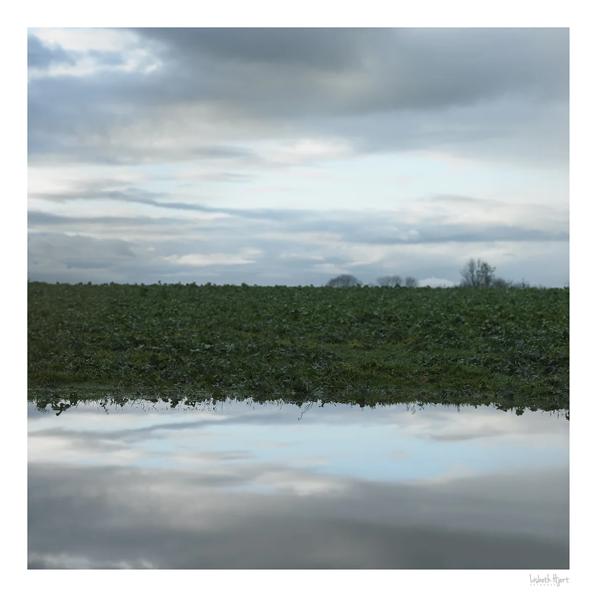Reflection_02.jpg