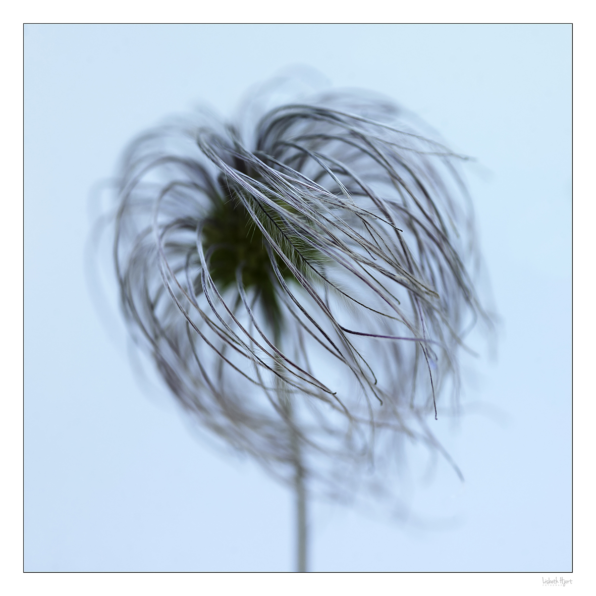 one of a kind_01.jpg