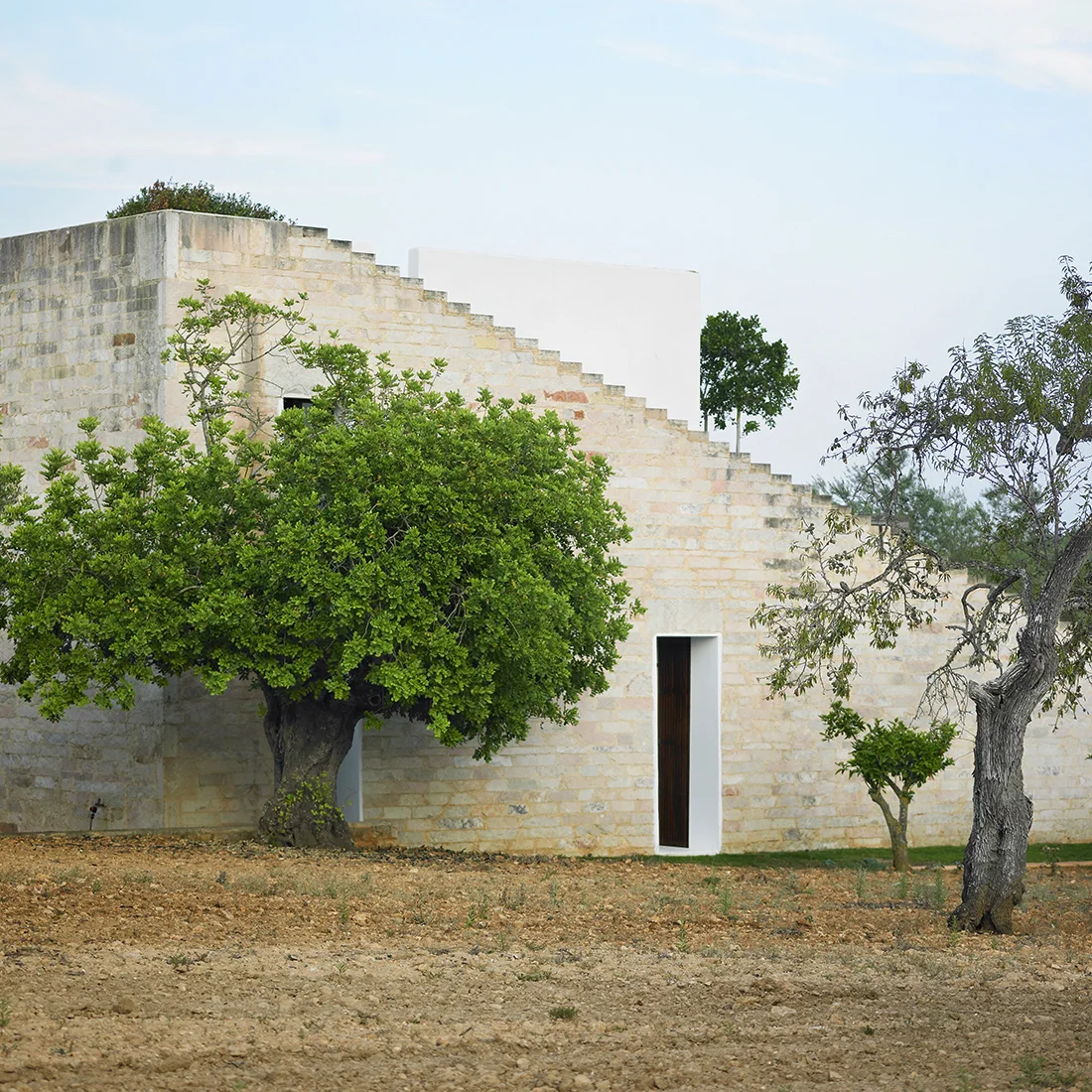 son_almendros-mallorca_01.jpg