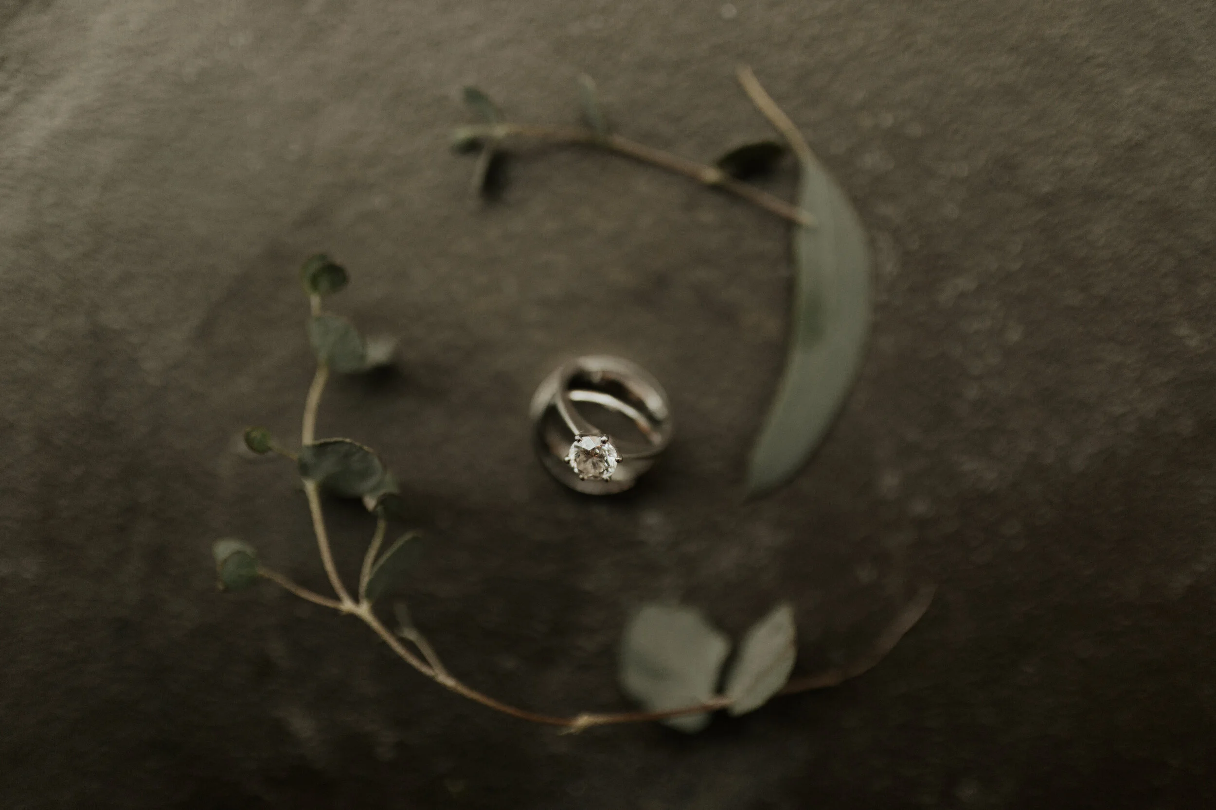 G+A-kearstentaylor023.jpg