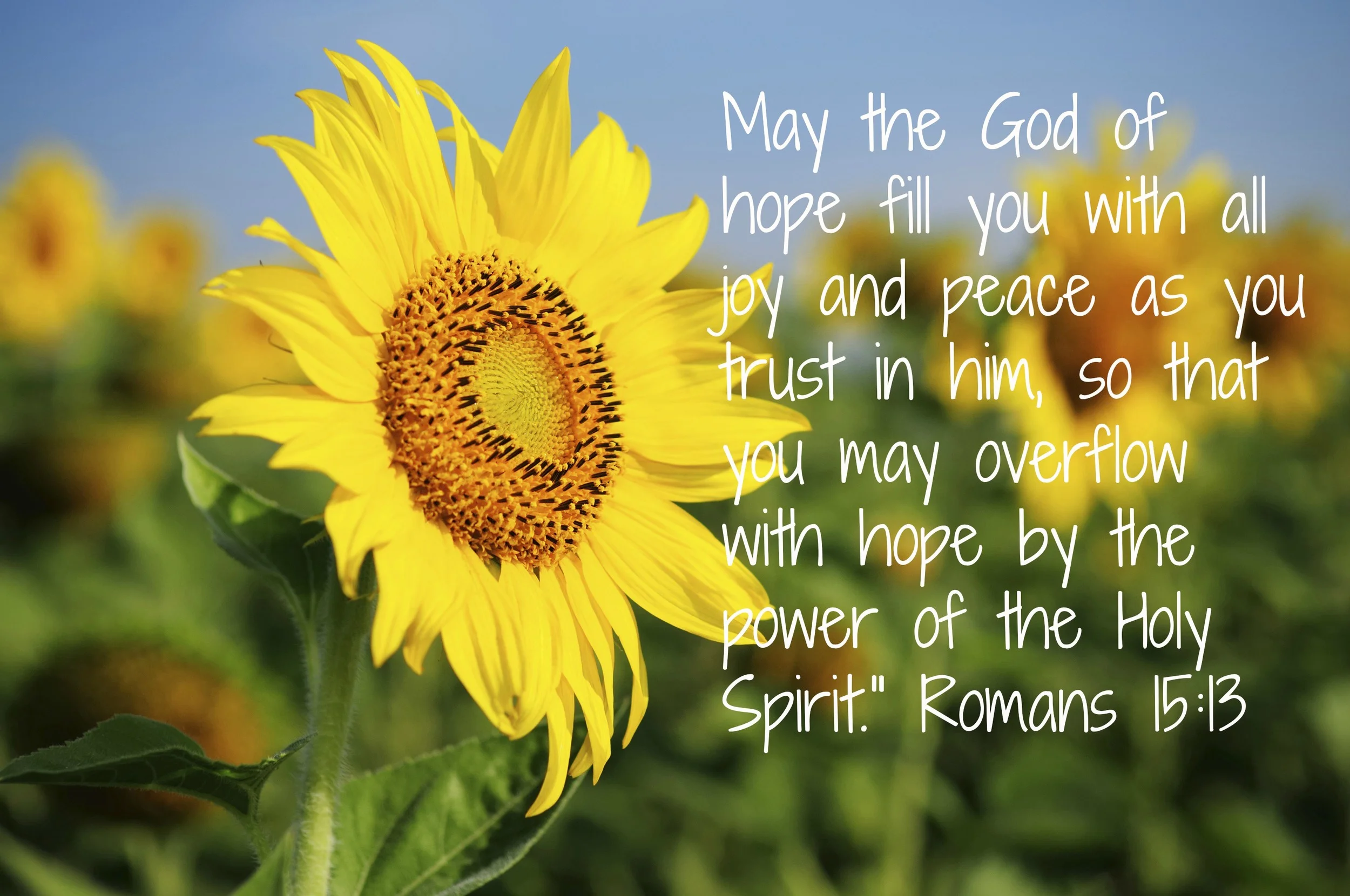 Romans 15 13.jpg