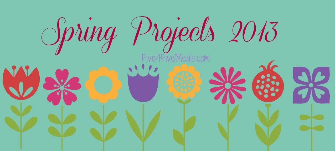 Spring Project 2013.jpg