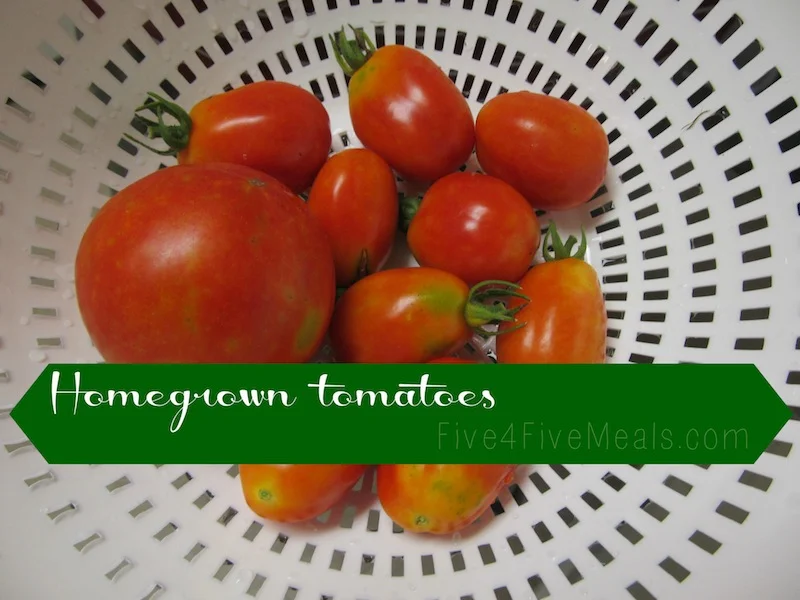 tomatoes.jpg