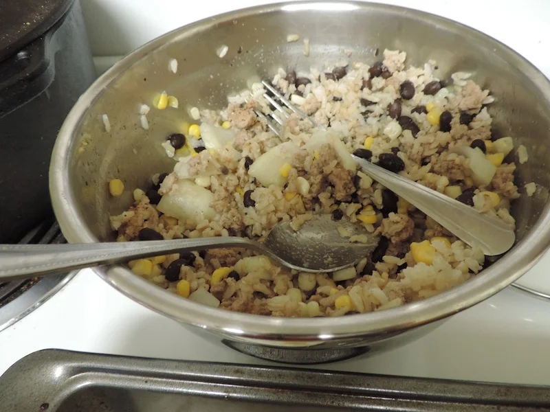 3Taco Roll Up a frugal family friendly .JPG