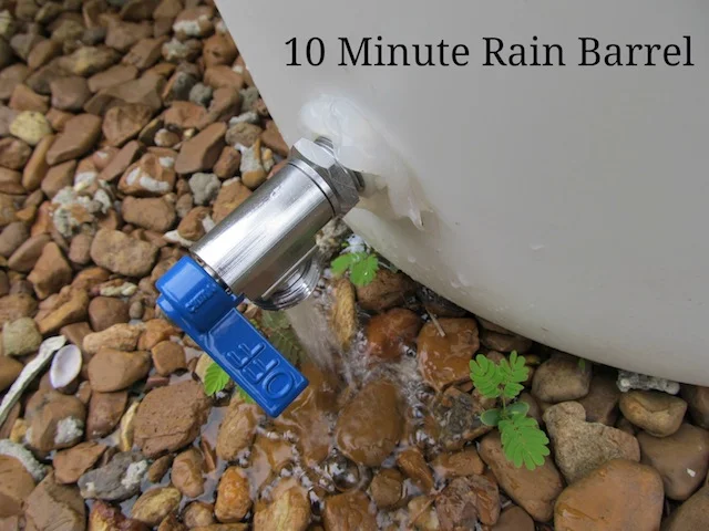 rain barrel.jpg