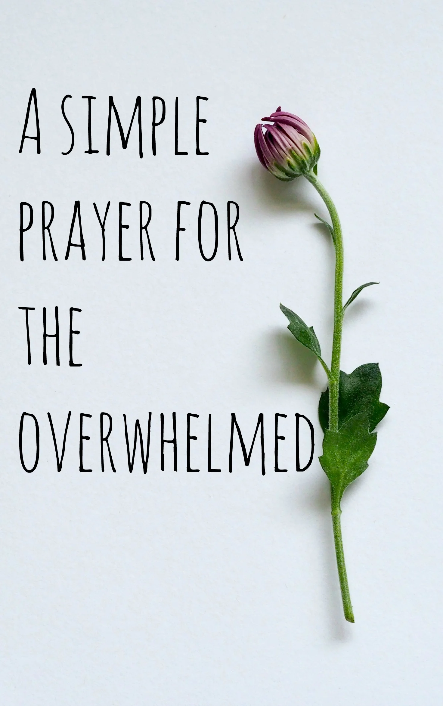 a simple prayer for the overwhelmed.jpg