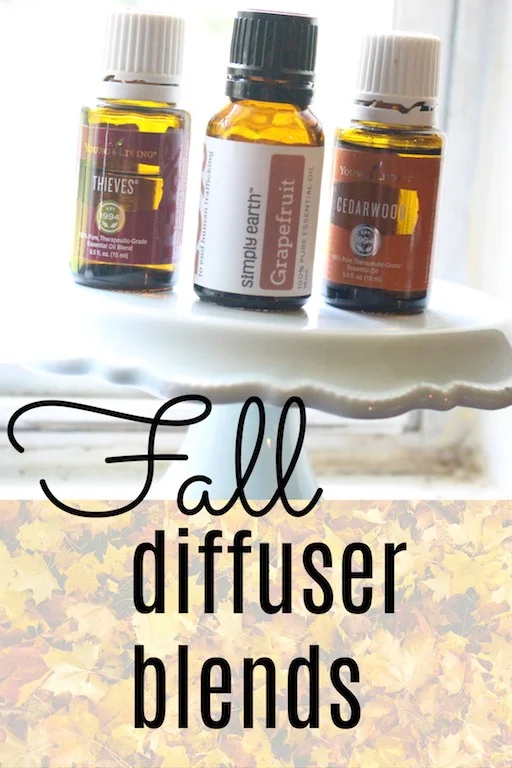 the best fall diffuser essential oil blends youngliving fall blends do terra fall blends.jpg