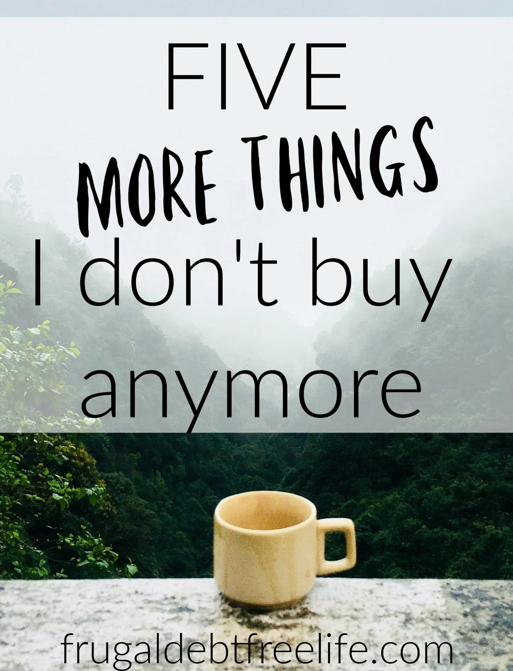 5 MORE things I don't buy! Our Frugal Debt Free Life.jpg