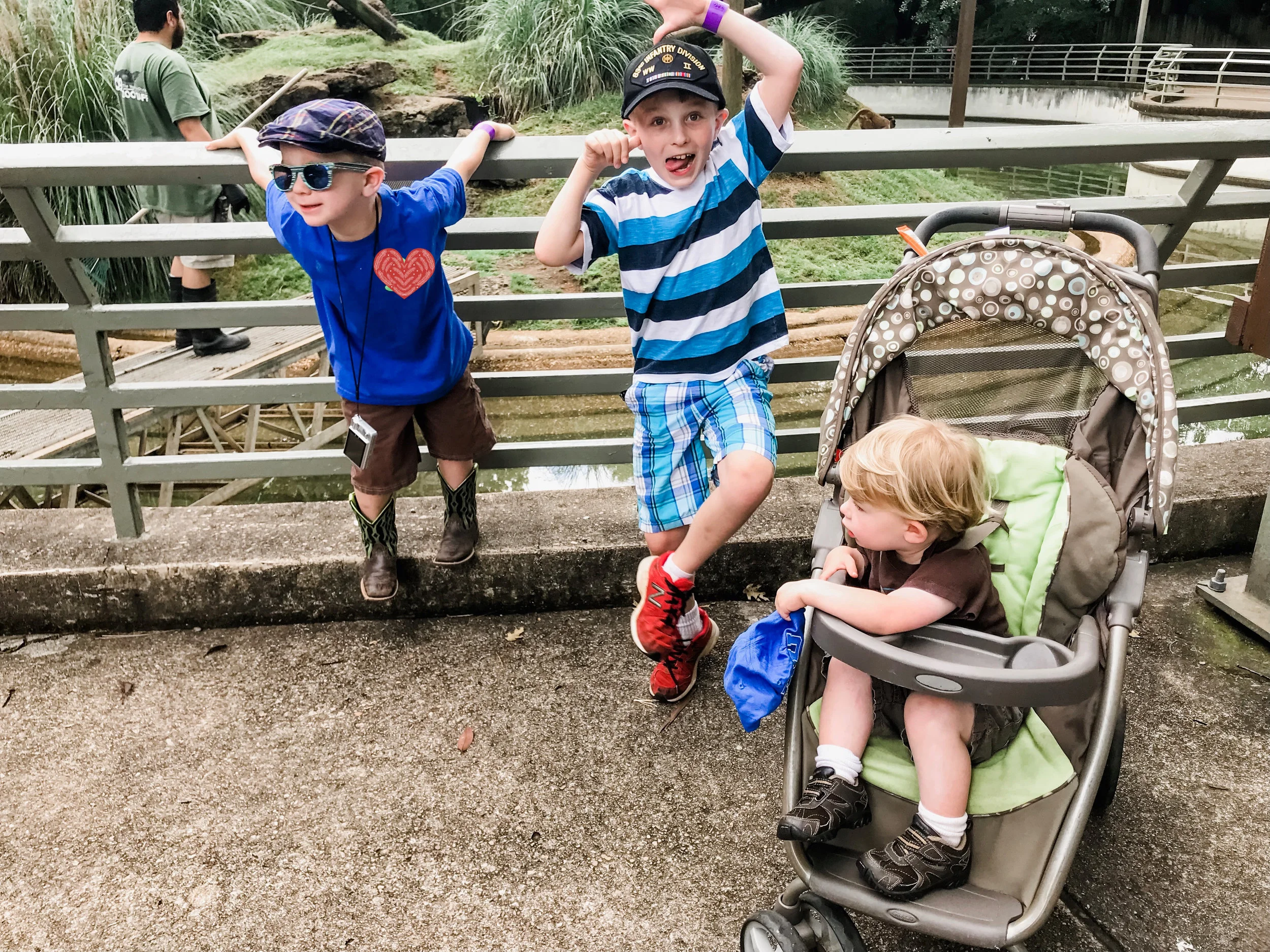 Go to the zoo for free.jpg