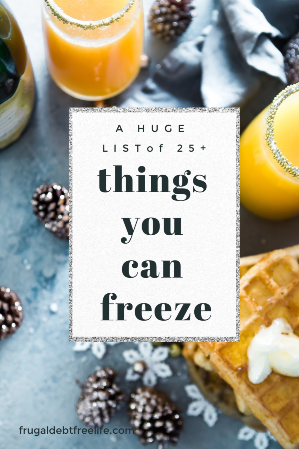 Yes you can freeze that foods you can freeze — Frugal Debt Free Life