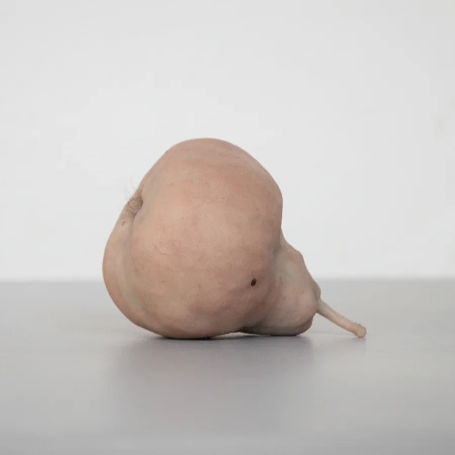 The Pears , toned silicone, plaster, human hair, 2013 @Dušan Váňa