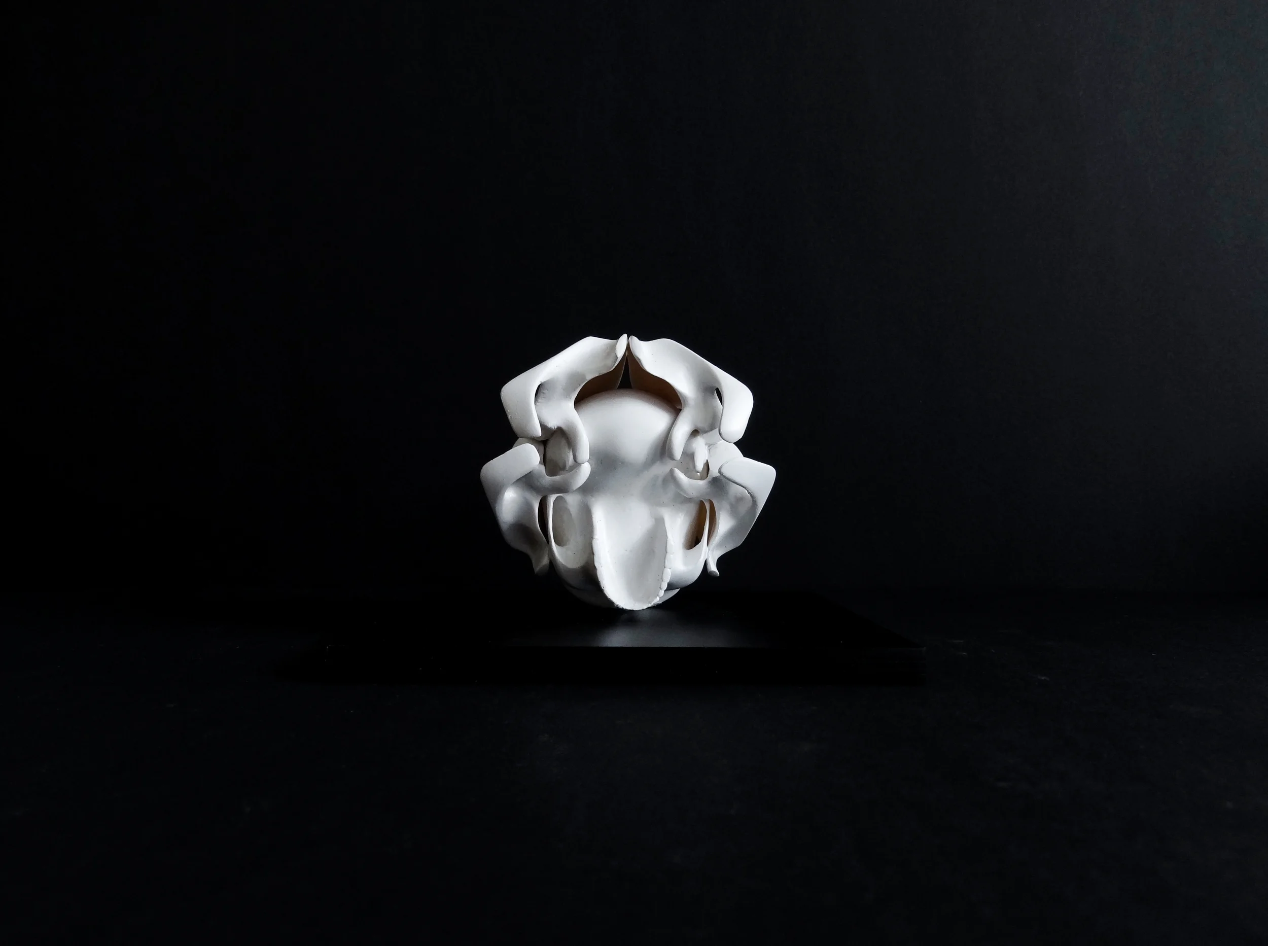 Skull No.2, 3D print, polyurethan resin, 2015 @Monika Horčicová