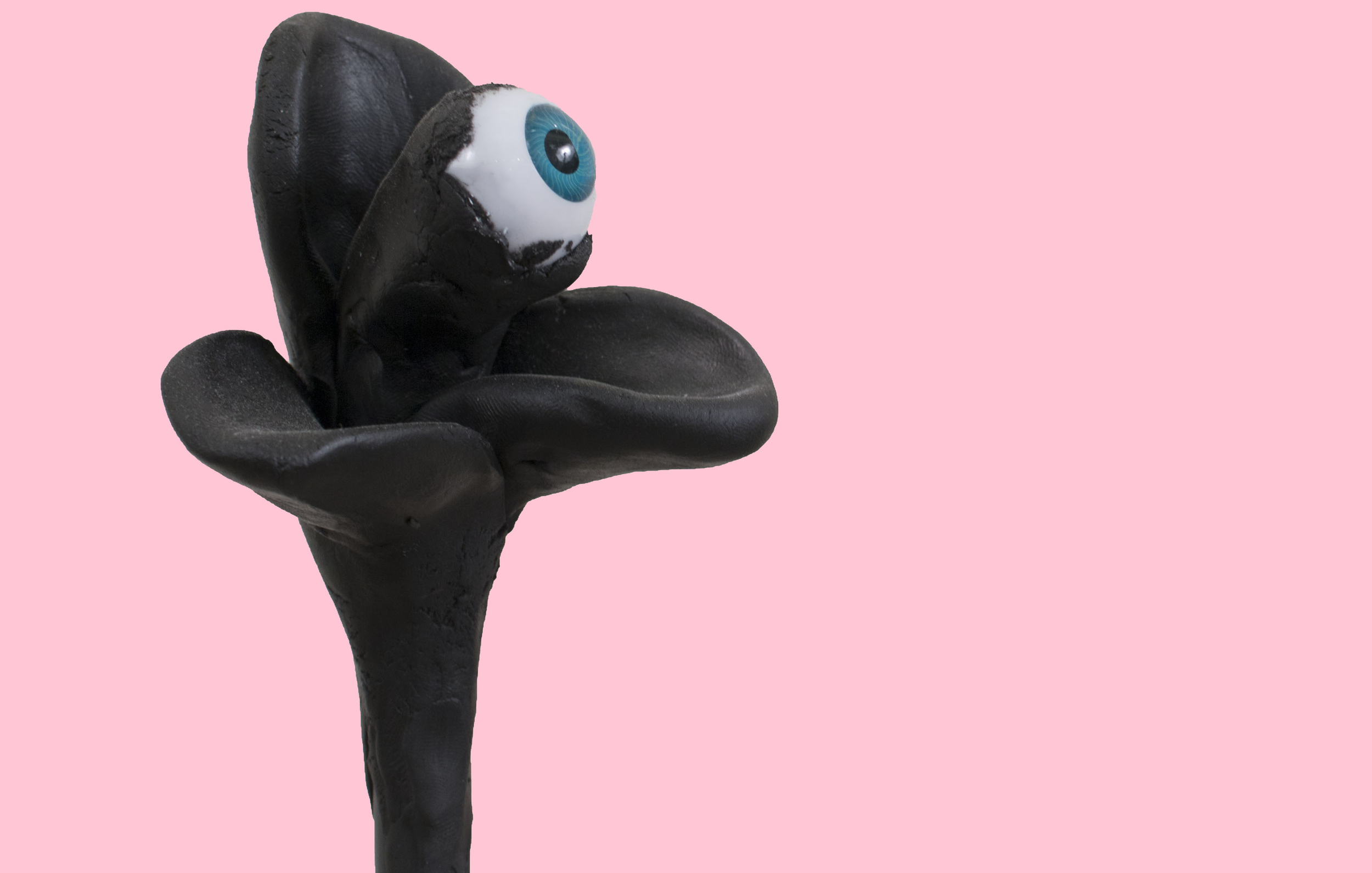 Eye See Corolla / Mixed Media / 2015