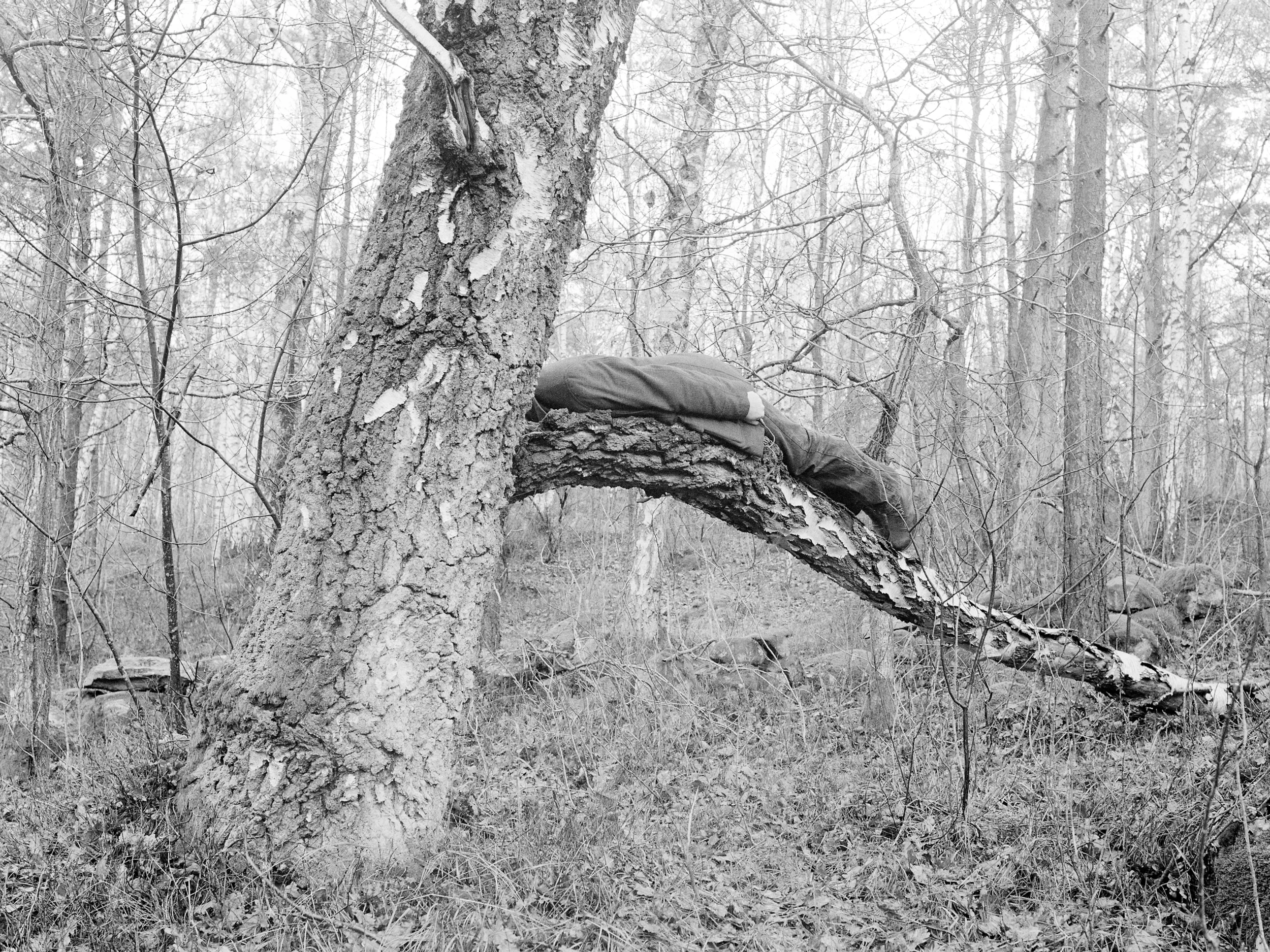 From memory alone, 3 Archival pigment prints, 2014-2015 @Andrei Venghiac