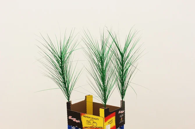 Untitled, a paper box, plastic boxs, woods, diverse pipes, a iron box with wheels, artificial plants, 2015 @DongKwang Jo