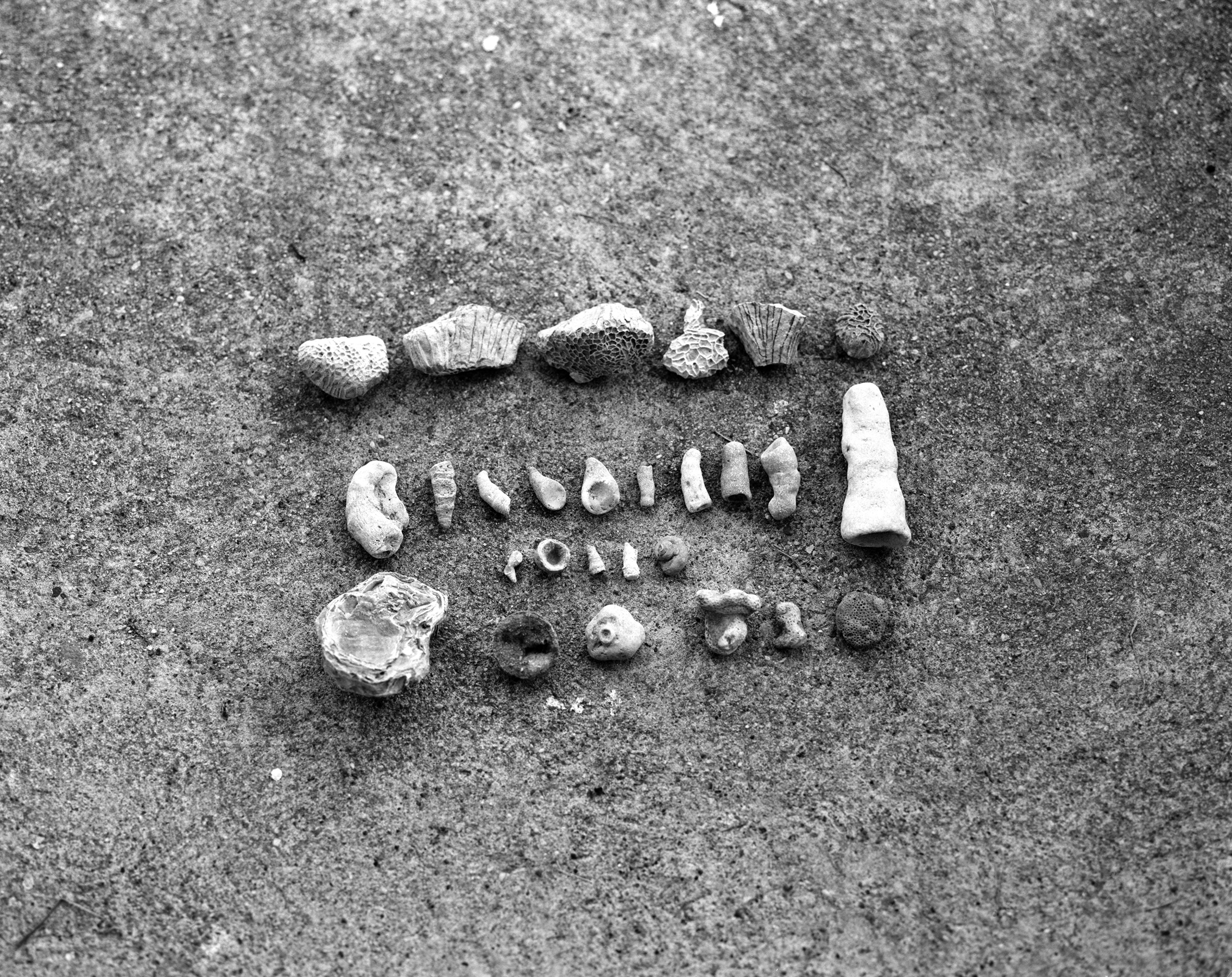 From the series 88 days in Själsö , digital photograph, 2013 @Sara A. Tremblay