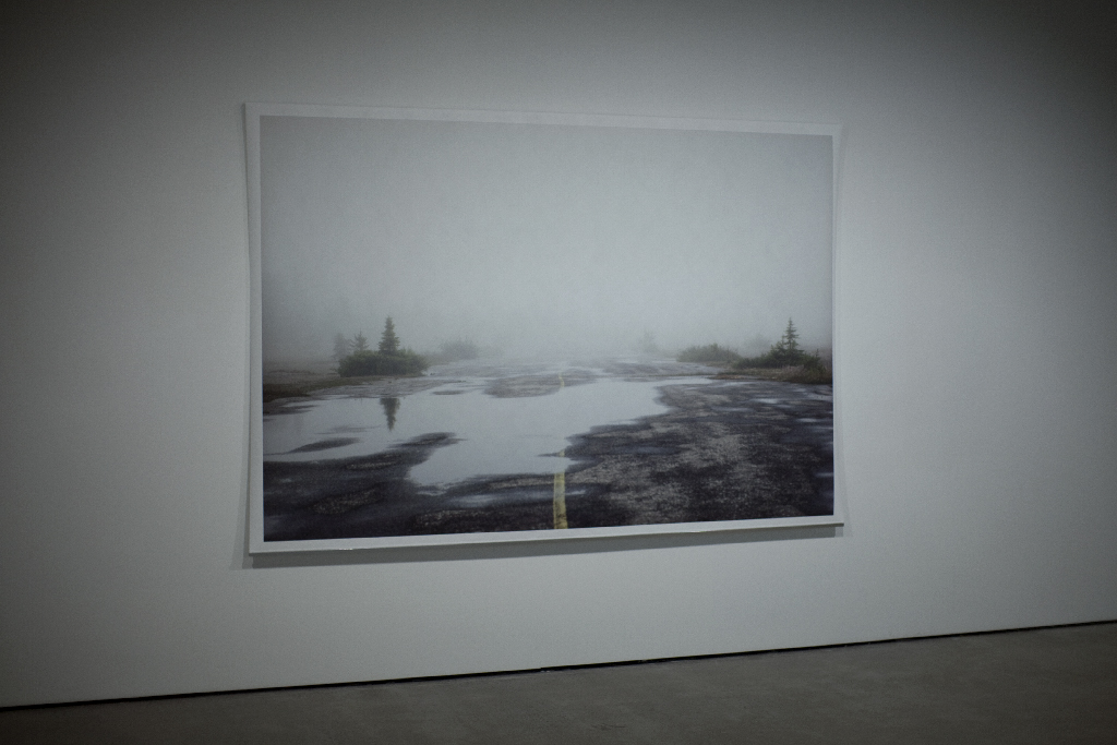 Mirari , (detail) documentation of the installation, Galerie de l’UQAM, Digital printing, 152 x 222 cm, 2013 @Léna Mill-Reuillard
