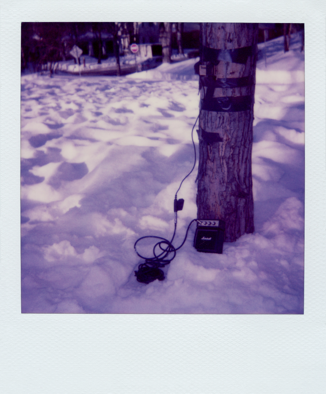 Music for trees , documentation of the installation, 2009 @Nataliya Petkova
