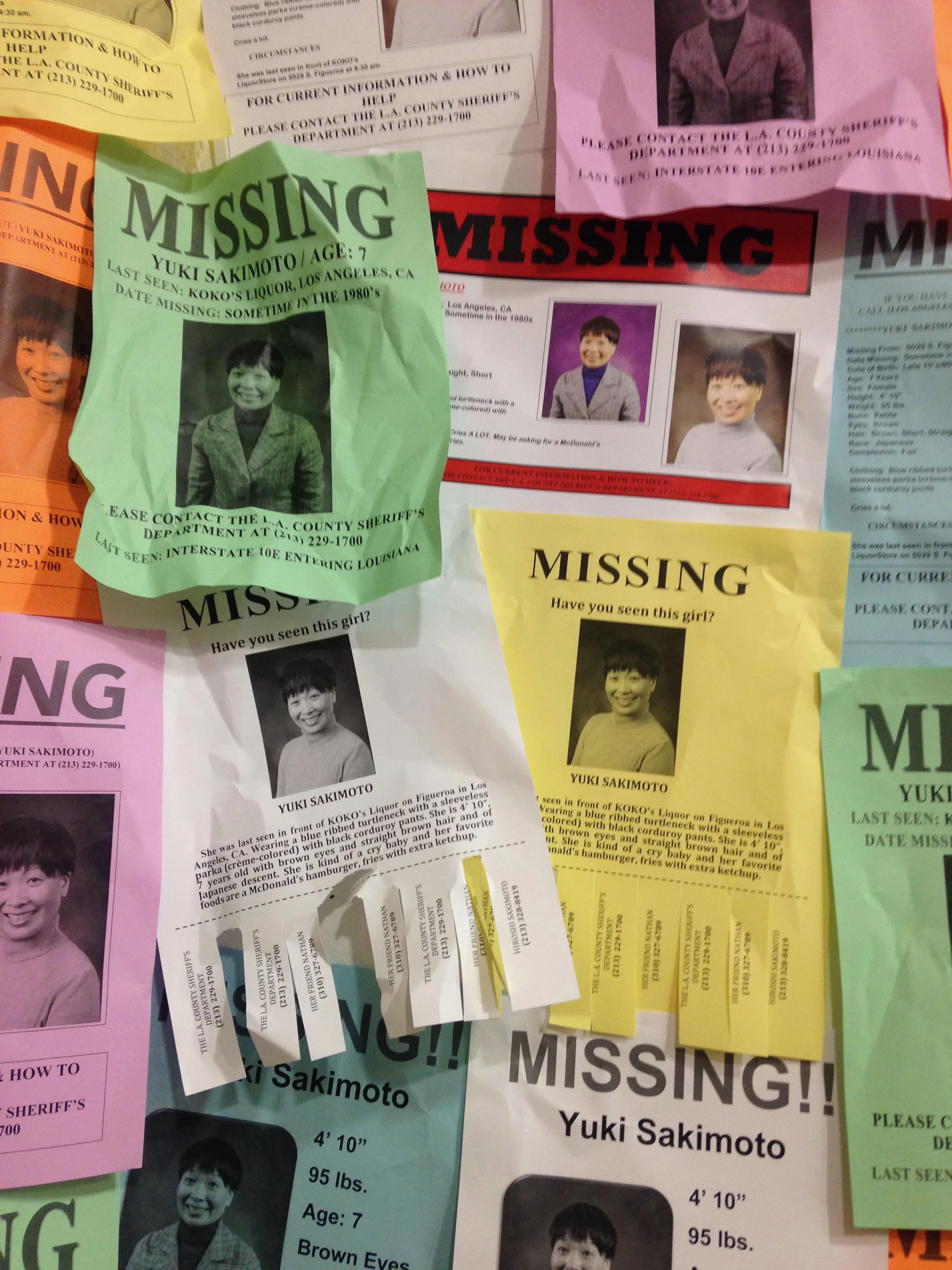 Yuki Missing Person Flyers, 2016