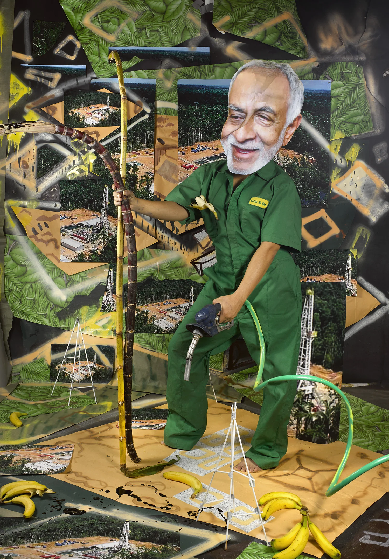 Minister of Petroleum & Hydrocarbons, Ecuador , 2017