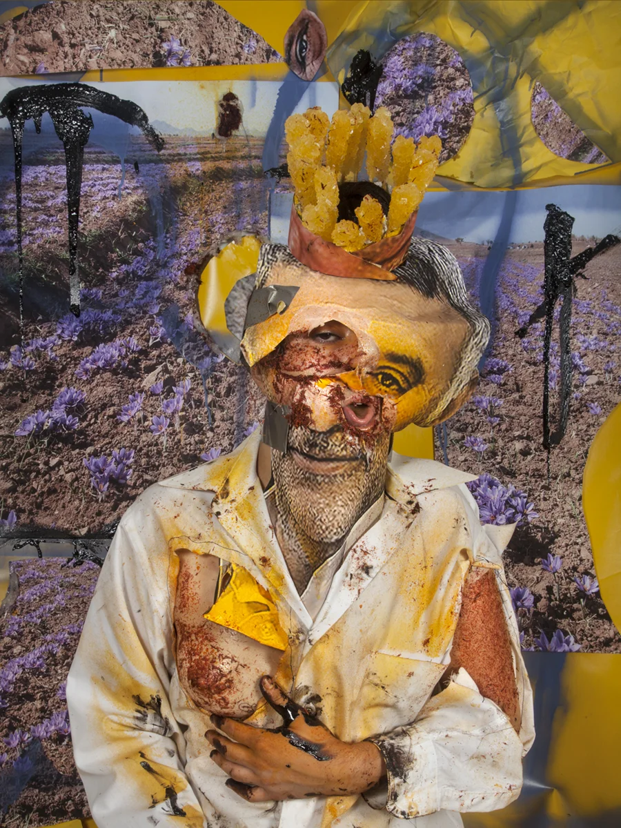 Minister of Agriculture, Iran, 2017