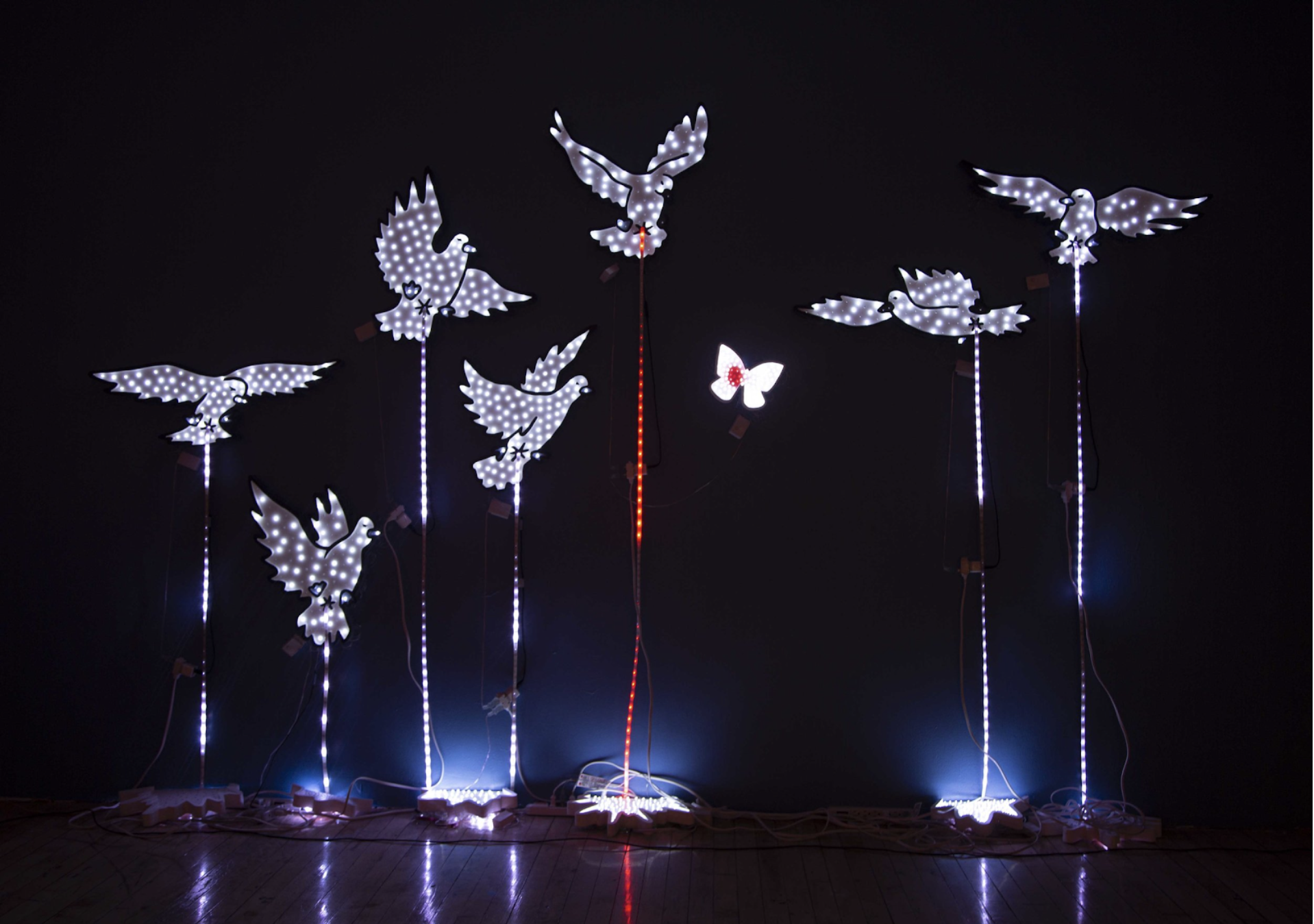 The birds and the butterflies”, 2019 in POND, a group exhibition curated by Constanza Valenzuela and Emilee Graverson at Commons Gallery, NY.