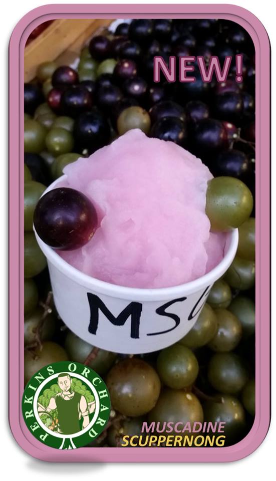 grape sorbet.jpg