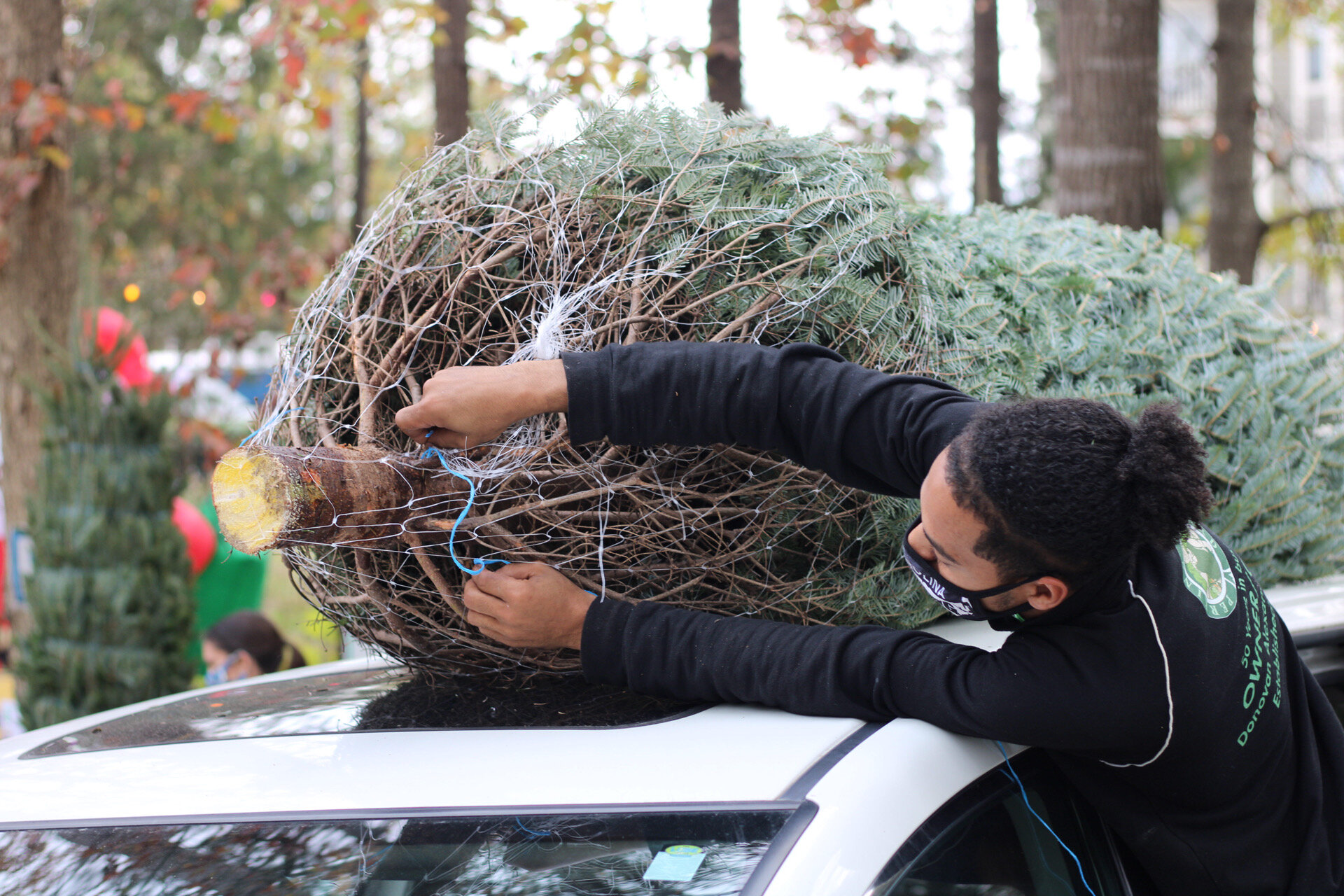 Donovan & Christmas Trees (18).JPG