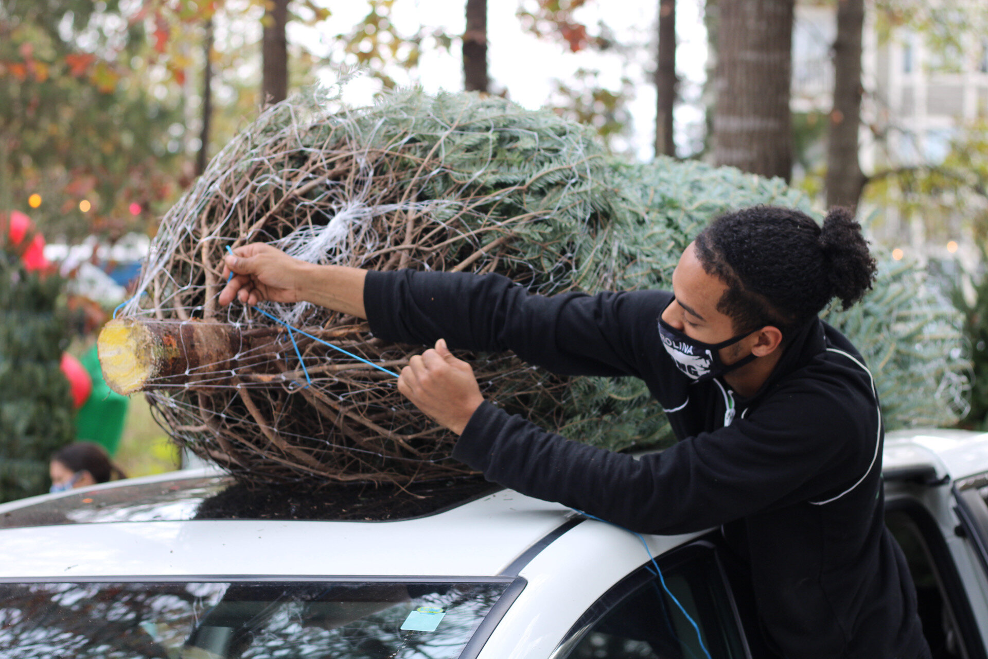 Donovan & Christmas Trees (19).JPG