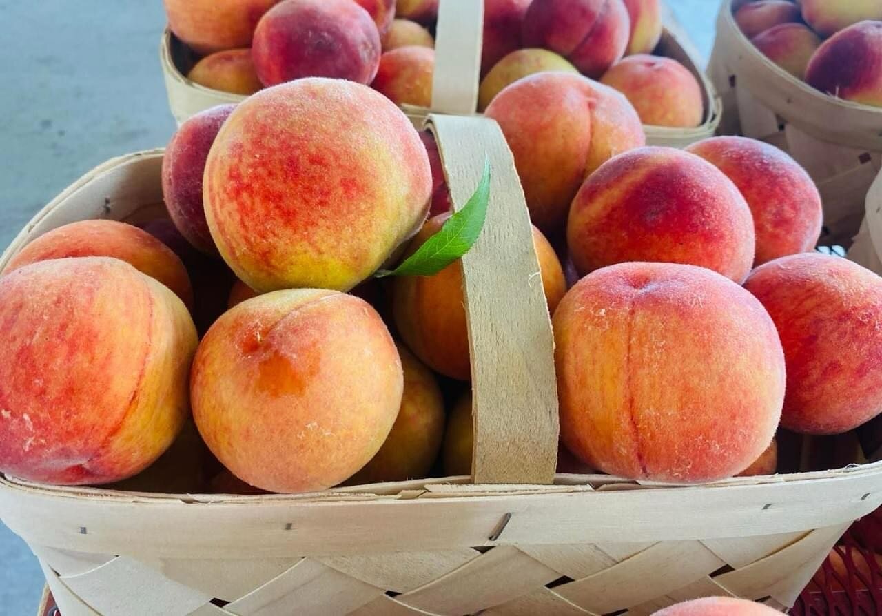 50 days away from the start of South Carolina Peach Season 🍑 😋