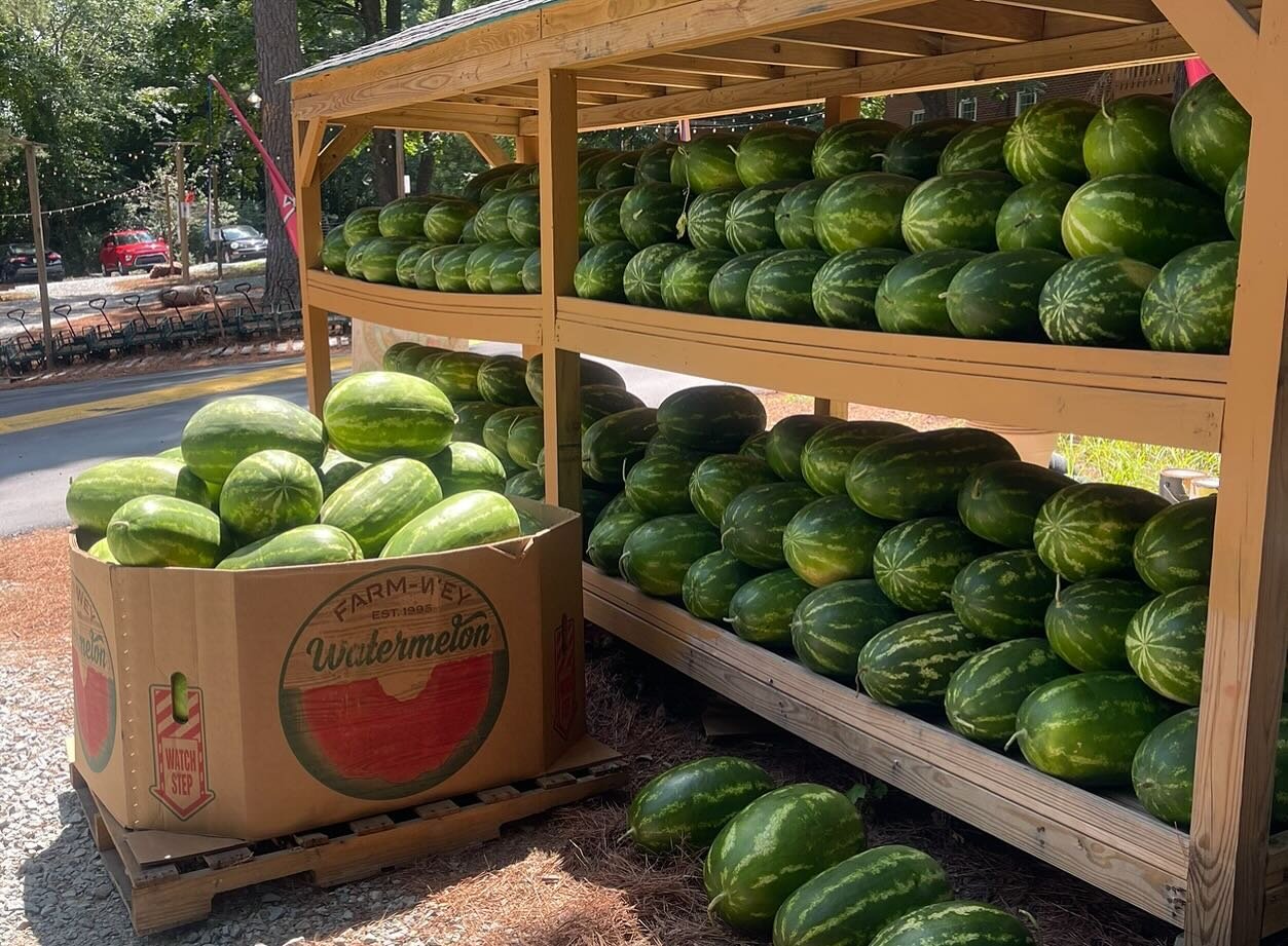 April can&rsquo;t come soon enough! 🍉 Watermelon Season begins fresh from Florida, Georgia, South Carolina &amp; North Carolina beginning mid April lasting through September arriving in order from the States mentioned. 

Seeds, white seed, red, pink
