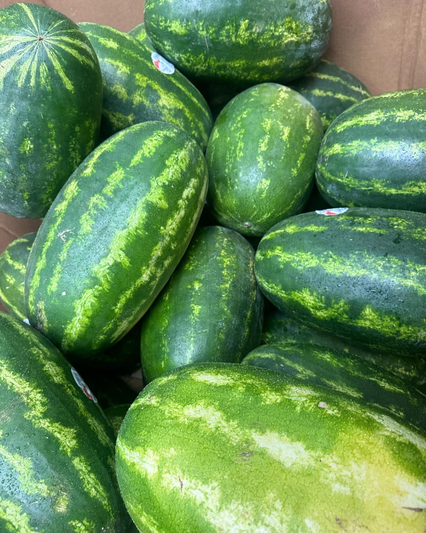Sunday Surprise ! Sweet jumbo Watermelons WITH SEEDS 🍉 are here ! 
Another batch coming every other day. 😊 😋
