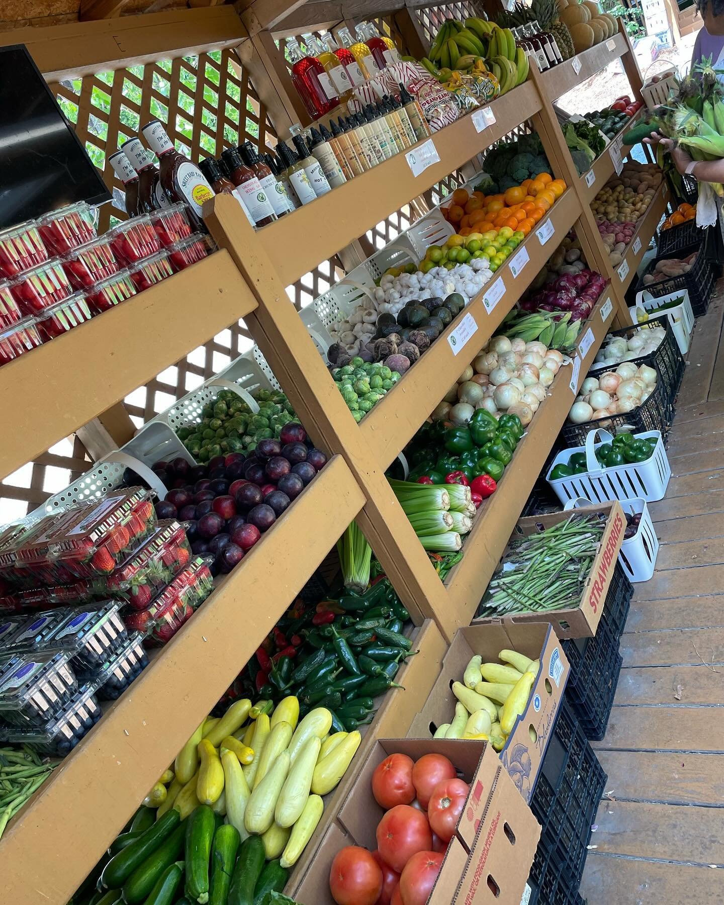 So many fresh fruits and vegetables in today!