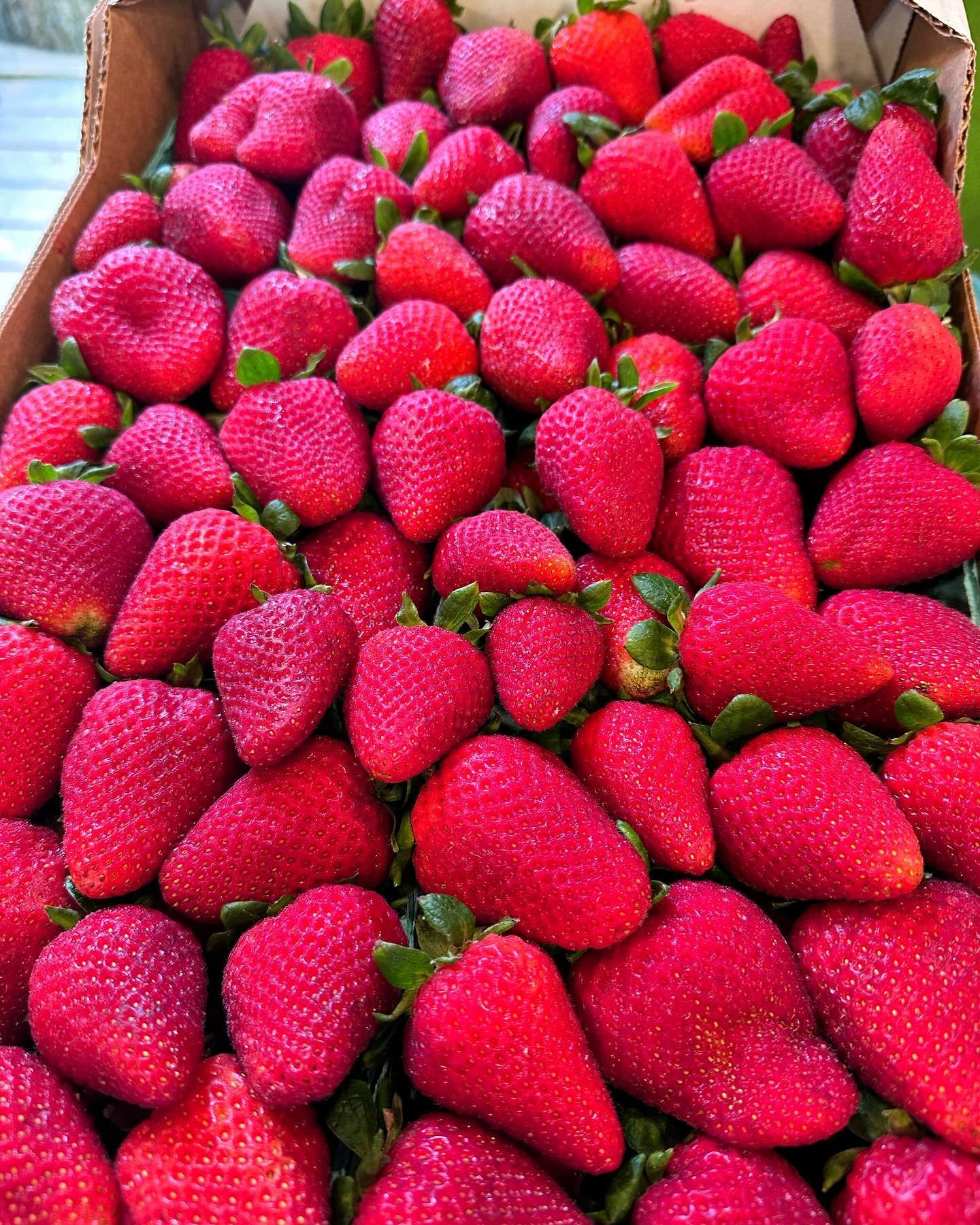 About to pass out in this heat trying to restock, look at these strawberries, have mercy 🥰😌🥹