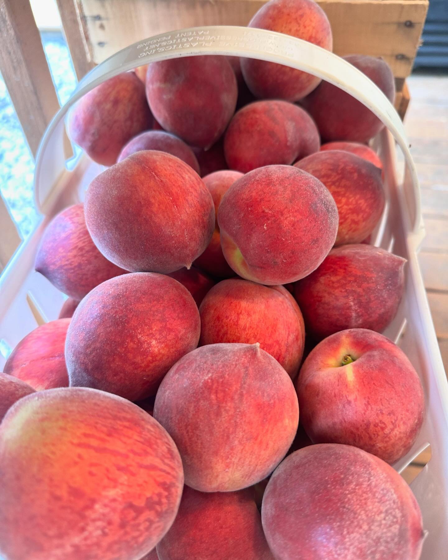 South Carolina Peach Season has begun! Donovan just picked up &amp; unloaded more Watermelons, Tomatoes, Strawberries, &amp; local Honey as well! Come on by and see us, We will take good care of you.