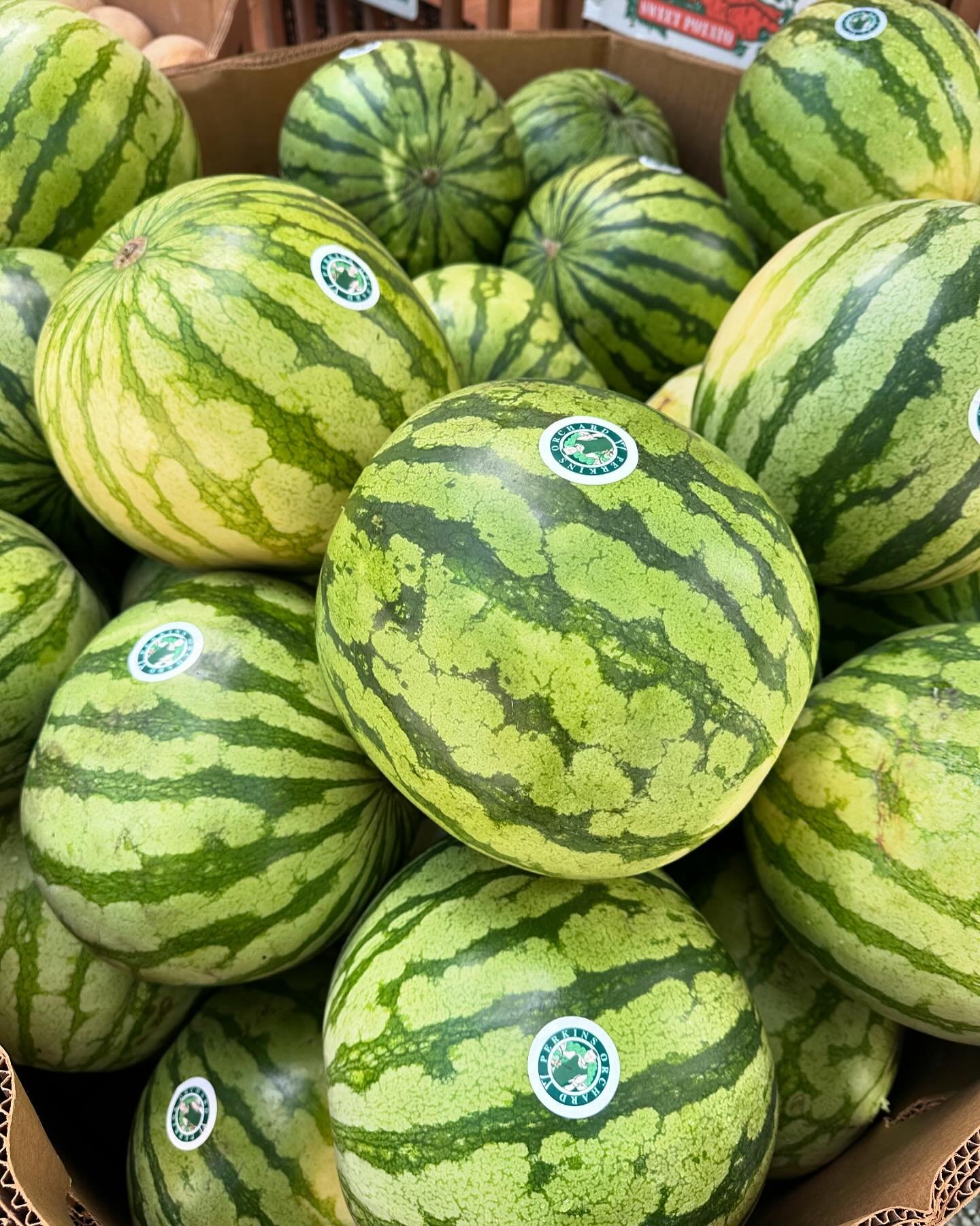 Surprise 🎉 Yellow Watermelons are here! First of the season, very sweet! It&rsquo;s an experience that you&rsquo;ll never forget