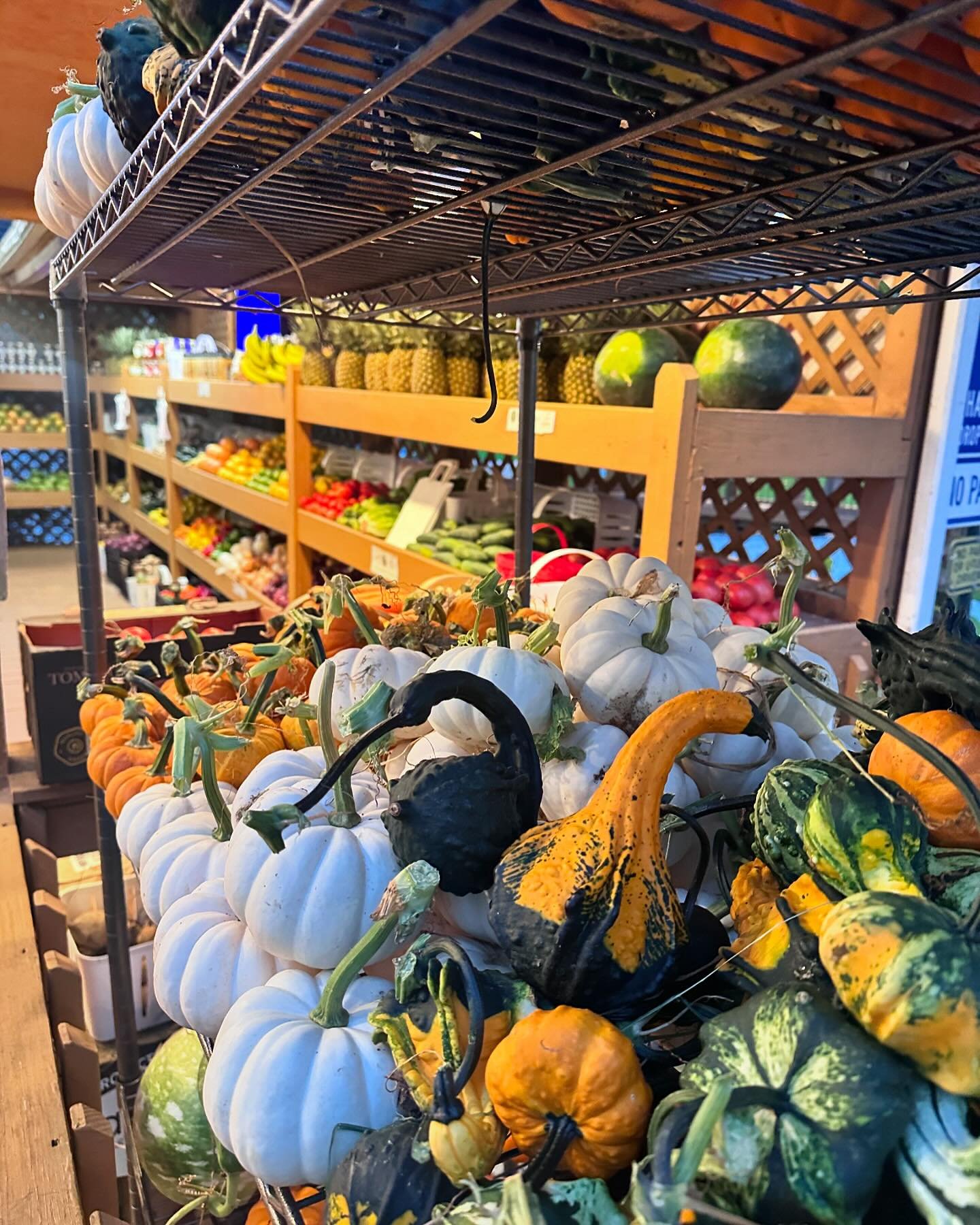 Our fall harvest is underway! new crop apples, fresh pressed apple cider, hundreds of pumpkins arriving daily, new black jack watermelons, jams, jellies, meats, Coffee, tea, &amp; so much more ! 

$99 wagon deal begins this weekend 
Paint a pumpkin r