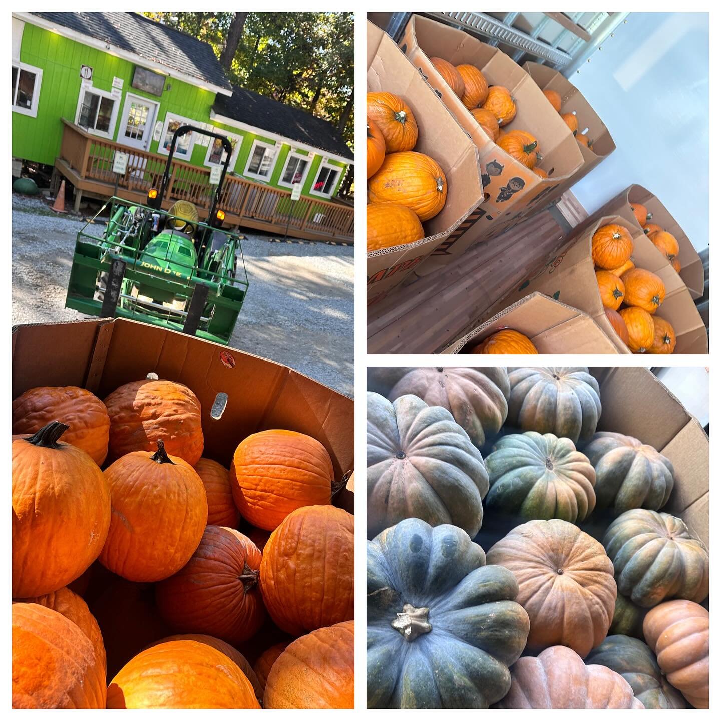 Back to home base, unloading now! If you need carving or heirloom pumpkins we have you covered!