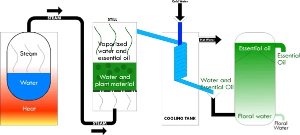 In this figure, the water tank producing the steam is kept separate from the drum containing the plant material.