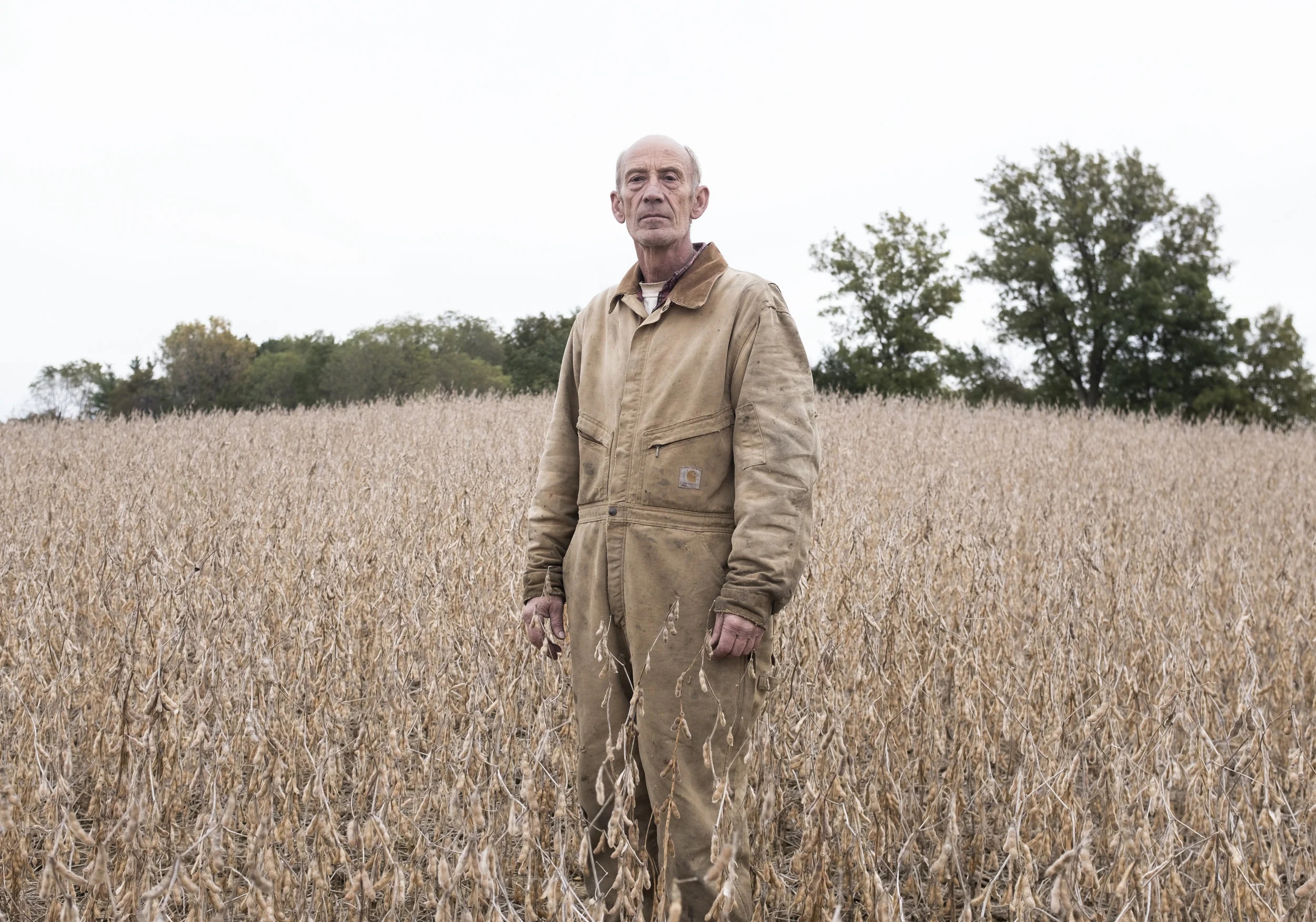 Greg Shobe stands for a portrait in one of the many soybean fields he plants and harvests every year. “I saw a deed that the farm was deeded to a George Campbell in 1845, it went from George, to Jeremiah right on down the line to my wife's grandparents. But for 150 years some of the land has been in the family.”
Greg says that the affect that the current tarrifs will have on some farmer in 2019 is that income is going to drop to levels that are going to be non profitable.