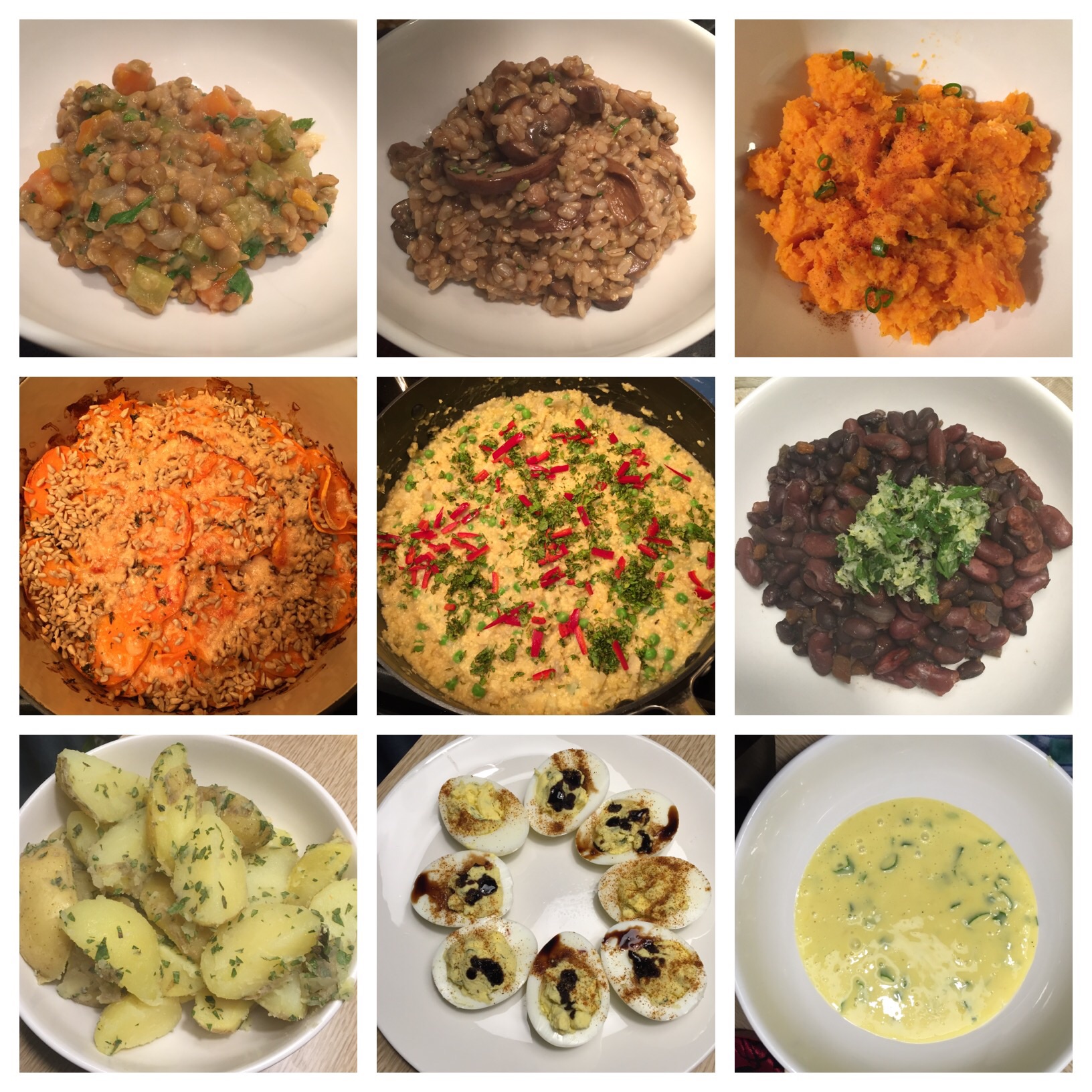 Recipes I made in my online Clean Eating Institute class, which taught me healthy, balanced nutrition: Warm Lentil Salad with Confetti Vegetables, Wild Mushroom Herbed Risotto, Whipped Sweet Potatoes with Chives, Hemp Seed & Parmesan-Crusted Scalloped Sweet Potatoes, Sorghum Risotto with Artichoke Hearts & Peas, Braised Northern & Black Turtle Beans, Herb & EVOO Baby Potatoes, Herbed Whipped Deviled Eggs, Roasted Garlic Lemon Aioli